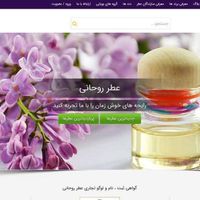 طراحی سایت + هاست و دامنه|خدمات رایانه‌ای و موبایل|مشهد, امام خمینی|دیوار