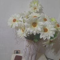 گل زیباگل|گل مصنوعی|نورآباد, |دیوار