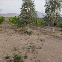 باغ چهار دیواری جلمرز|فروش زمین و کلنگی|اصفهان, خاتون‌آباد|دیوار
