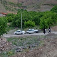 زشک۸۰۰متر زمین باغی بدون شیب بادرختان گردو(معاوضه)|فروش خانه و ویلا|مشهد, بلوار سجاد|دیوار