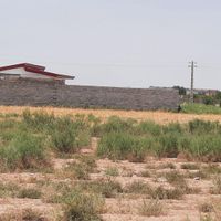 زمین چهاردیواری با آب کشاورزی در قرمزتپه شریف آباد|فروش زمین و کلنگی|تهران, شریف‌آباد|دیوار