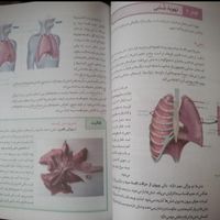کمک درسی تجربی|کتاب و مجله آموزشی|تهران, اندیشه (شهر زیبا)|دیوار