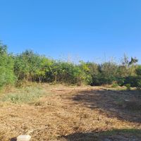 زمین مسکونی  رشت|فروش زمین و ملک کلنگی|رشت, جانبازان|دیوار