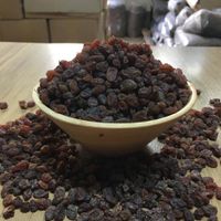 کشمش ابگیری آفتابی|خوردنی و آشامیدنی|تهران, جمهوری|دیوار