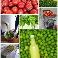 آبگیری گوجه وغوره و لیمو و آبگیری گوجه سیاره|خدمات پذیرایی/مراسم|مشهد, حجت|دیوار