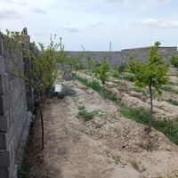 باغ دور دیوار|فروش زمین و کلنگی|مشهد, ایوان|دیوار