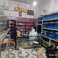 فروش آکواریوم|فروشگاه و مغازه|خرمشهر, |دیوار