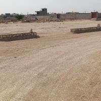زمین مسکونی، سند تکبرگ، گورک کلبندی، چمن مصنوعی|فروش زمین و ملک کلنگی|بوشهر, |دیوار