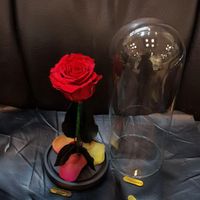 باکس گل رز جاودان مدل ساقه و برگ دار|گل و گیاه طبیعی|تهران, فردوسی|دیوار