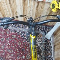 دوچرخه 29|دوچرخه، اسکیت، اسکوتر|تهران, آذری|دیوار