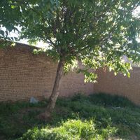 ویلا باغ،۲۷۰ متر،شهرستان کیار،روستای قلعه سلیم|فروش خانه و ویلا|شهرکرد, |دیوار
