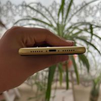 iPhone 11 yellow ایفون|موبایل|تهران, ایران|دیوار