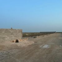زمین کشاورزی گورک|فروش زمین و کلنگی|بوشهر, |دیوار