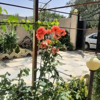باغچه ویلایی 250مترچسب بافت واقعی سهیلیه زعفرانیه|فروش خانه و ویلا|کرج, مهرشهر - فاز ۵|دیوار