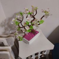 درخت سیب با شکوفه های زیبا|گل مصنوعی|رشت, پیرکلاچای|دیوار