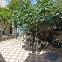 ویلایی دو طبقه ماشین رو.نادر.روبروی بانک‌کشا.تعویض|فروش خانه و ویلا|شیراز, اصلاح‌نژاد|دیوار
