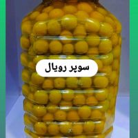 زیتون طارووم،تخفیف باور نکردنی(دست اول خرید کنید)|خوردنی و آشامیدنی|نیشابور, |دیوار