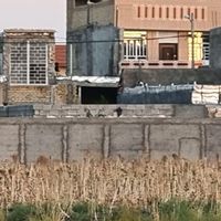 پلاک زمین ملکی سنددار|فروش زمین و کلنگی|شیراز, کفترک|دیوار