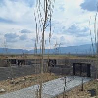 باغچه دشت ارژن|فروش زمین و کلنگی|شیراز, شهرک سراج|دیوار