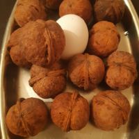 نهال گردو خوشه ای، چندلر وفرنور، پکان وژنوتیپ|خدمات باغبانی و درختکاری|شیراز, دکتر حسابی|دیوار