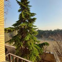 کلنگی دو کله بر ۲۰ متری|فروش زمین و کلنگی|تهران, محمودیه|دیوار