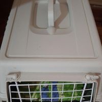 باکس حمل حیوان خانگی برند فرپلاست|لوازم جانبی مربوط به حیوانات|بندر انزلی, |دیوار