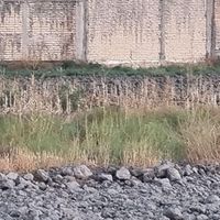 پلاک زمین ملکی سنددار|فروش زمین و کلنگی|شیراز, کفترک|دیوار