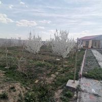 صوفیان، منطقه ویلایی گوزل یول1000مترمربع|فروش خانه و ویلا|تبریز, |دیوار