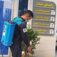 شرکت‌سمپاشی‌دانشگاه‌شیراز‌ساس‌‌سوسک‌موریانه‌ریشمیز|خدمات نظافت|شیراز, معالی‌آباد|دیوار