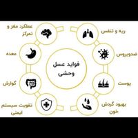 عسل کوهستان|خوردنی و آشامیدنی|اهواز, بهارستان|دیوار