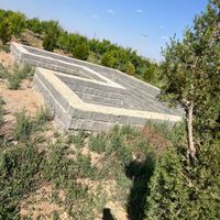 باغ بادام با مجوز گلخانه و ساخت|فروش دفاتر صنعتی، کشاورزی و تجاری|تهران, نازی‌آباد|دیوار