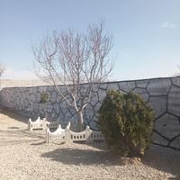 باغ وباغچه*چهار دیوار مجزا 211 زمین  آب وبرق وگاز|فروش زمین و کلنگی|تهران, امیریه|دیوار