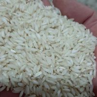 برنج دانه بلند شوشتر|خوردنی و آشامیدنی|اهواز, کوی مهدیس|دیوار