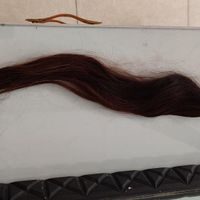 فروش موی طبیعی ۷۰سانت|آرایشگاه و سالن‌های زیبایی|مشهد, قاسم‌آباد (شهرک غرب)|دیوار