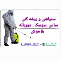 سم پاشی ریشه کنی‌ کامل%100سمپاشی/ انسـجام قــم|خدمات نظافت|قم, کلهری|دیوار