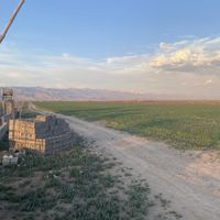 زمین کشاورزی|فروش زمین و کلنگی|نظرآباد, |دیوار