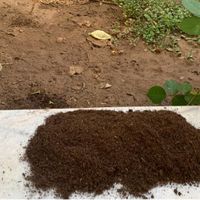 کود بهساز خاک به نشاط|خدمات باغبانی و درختکاری|یزد, |دیوار