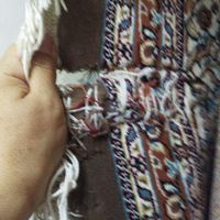 فرش شسته شده وتمیز مدل ماهی|فرش|مرند, |دیوار