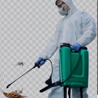 شرکت سمپاشی سبزگستر سم پاشی انواع حشرات|خدمات نظافت|مشهد, بلوار توس|دیوار