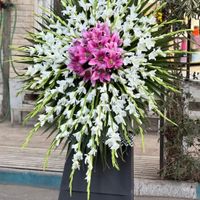 گل آرایی ماشین عروس ،تاج گل و مراسمات|خدمات پذیرایی/مراسم|اصفهان, باغ فردوس|دیوار