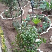 خدمات باغبانی و ارس کاری سمپاشی و بیل زدن باغچه|خدمات باغبانی و درختکاری|کرج, گوهردشت|دیوار