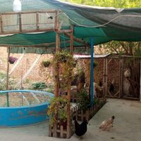 مسکونی|اجارهٔ خانه و ویلا|اصفهان, جروکان|دیوار
