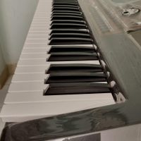 ارگ کرگ pa700|پیانو/کیبورد/آکاردئون|کرج, دولت‌آباد|دیوار