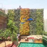این پشت بام معرکه ست، هیچی کم نداره|گل و گیاه طبیعی|تهران, نیاوران|دیوار