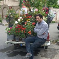 حرس درخت سم پاشی گل گیاه کودگلکاری آپارتمان|خدمات باغبانی و درختکاری|تهران, دروس|دیوار