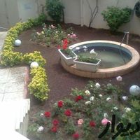 خدمات باغبانی محمد|خدمات باغبانی و درختکاری|بندر انزلی, |دیوار