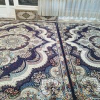 فرش ۱۲ متری دستباف گونه ۷۰۰ شانه|فرش|کرمانشاه, |دیوار