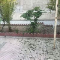 120متر دربستی حیاطی|اجارهٔ آپارتمان|تهران, تهرانپارس شرقی|دیوار