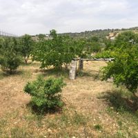 باغ ویلایی روستایی|فروش زمین و کلنگی|شیراز, محمدیه|دیوار
