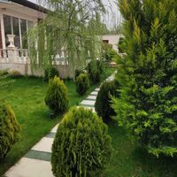 540متر ویلا جنگل فول فرنیش سهیلیه زعفرانیه|فروش خانه و ویلا|کرج, گلشهر|دیوار